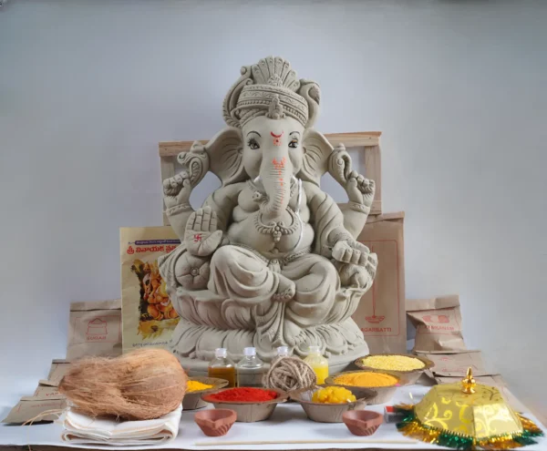 ganesh pooja kit vigneshwara pooja kit